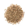 Fennel Seeds Ã¢â¬â Heap of Oriental Aromatic Condiment Aroma Ã¢â¬â Top View